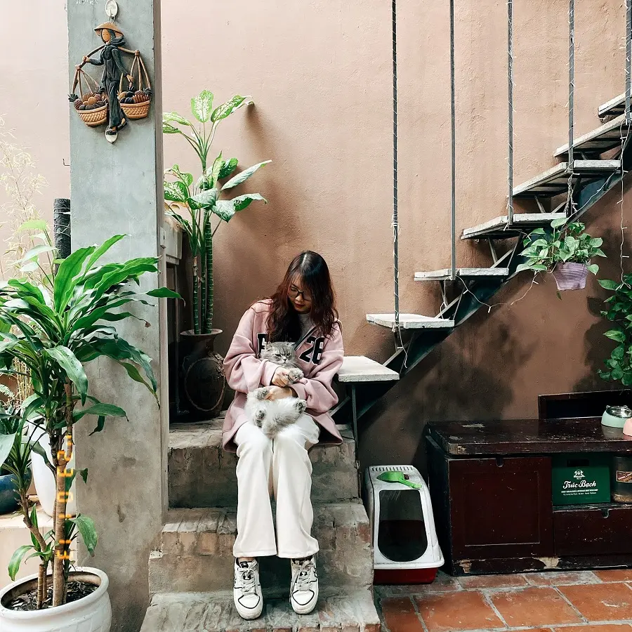 cafe-meo-ha-noi-4
