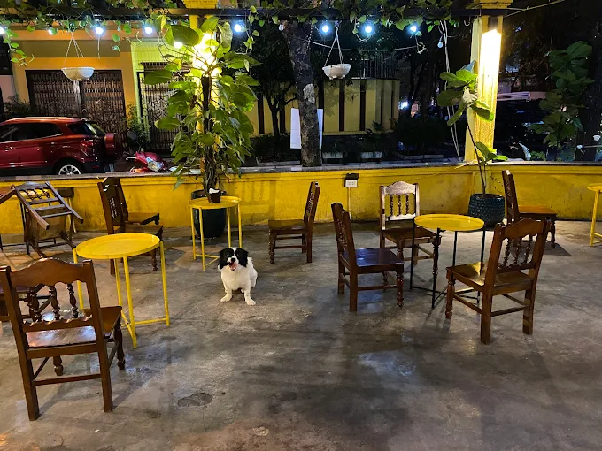 quan-cafe-yen-tinh-o-ha-noi 7