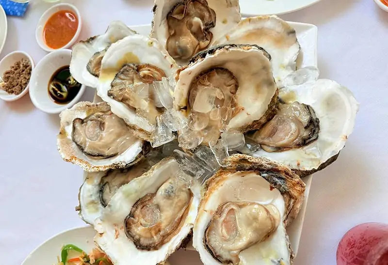 Hàu sống đa dạng hương vị