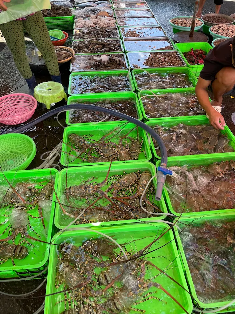 cho hai san vung tau 1