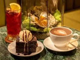 Chenille Café - Cafe Bướm Hải Phòng