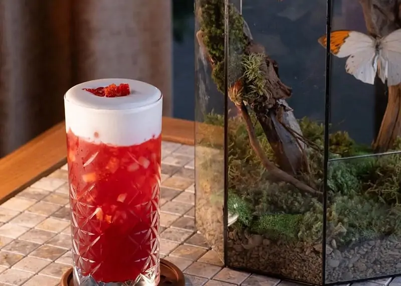 Đôi nét về Chenille Café