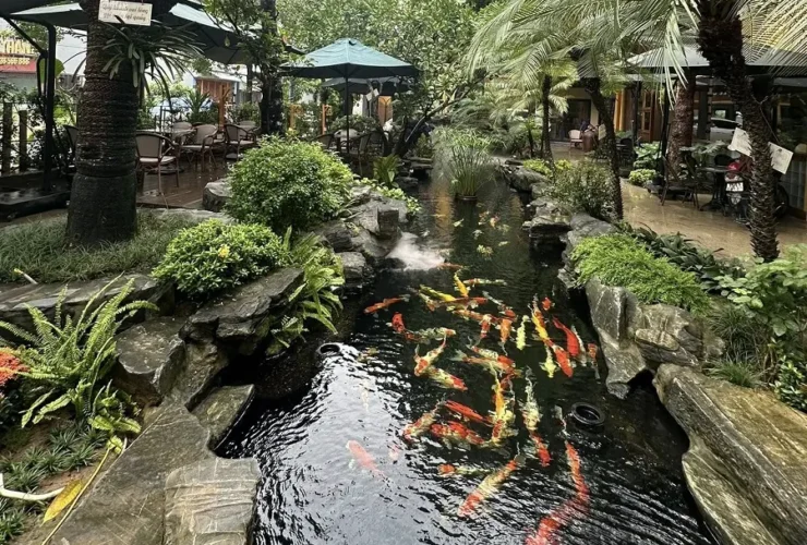 cafe ca koi hai phong 0