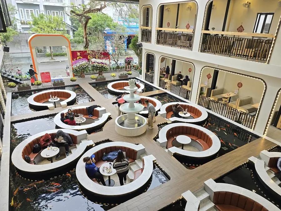 cafe ca koi hai phong 1