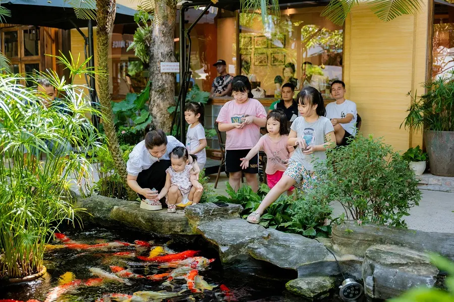 cafe ca koi hai phong 3