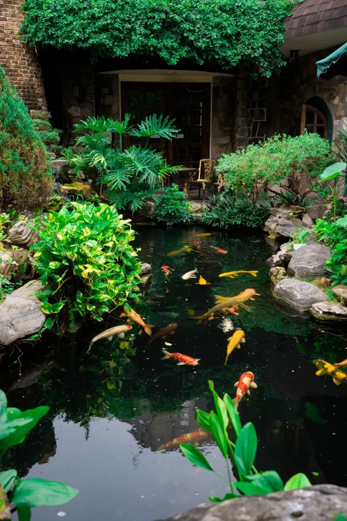 cafe ca koi hai phong 4