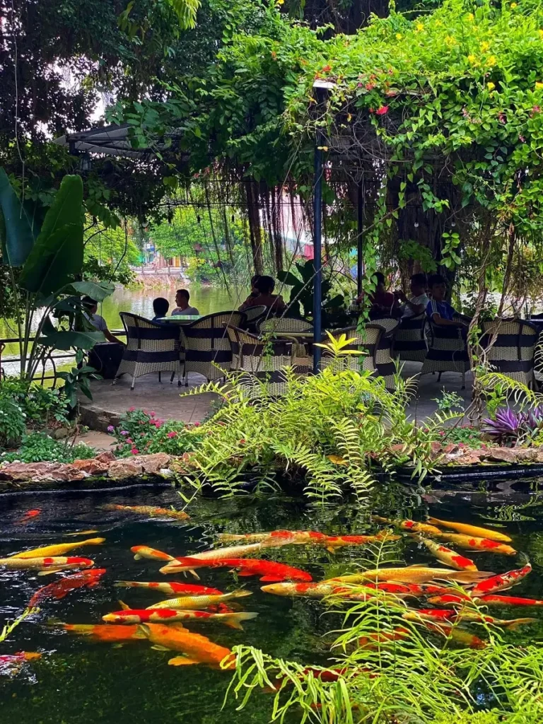 cafe ca koi hai phong 5