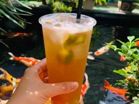 Cafe cá Koi Lê Hồng Phong Hải Phòng