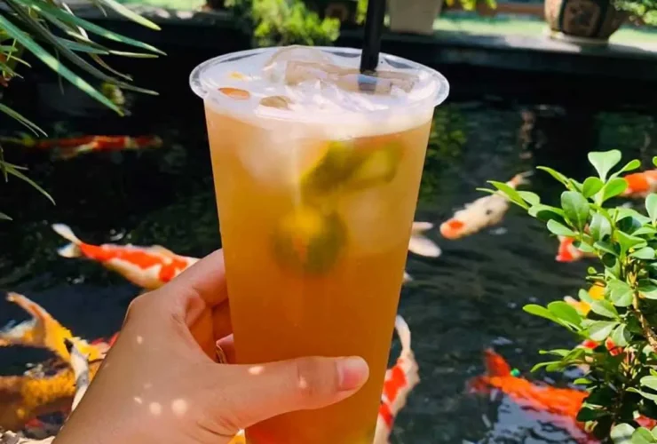 Cafe cá Koi Lê Hồng Phong Hải Phòng