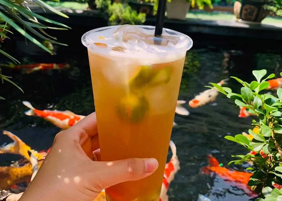 Cafe cá Koi Lê Hồng Phong Hải Phòng