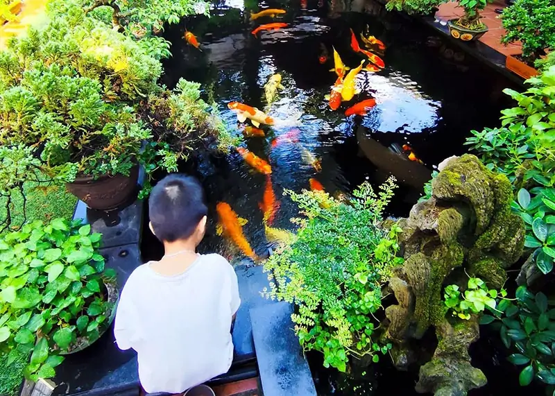 Sân Vườn Xanh Mát