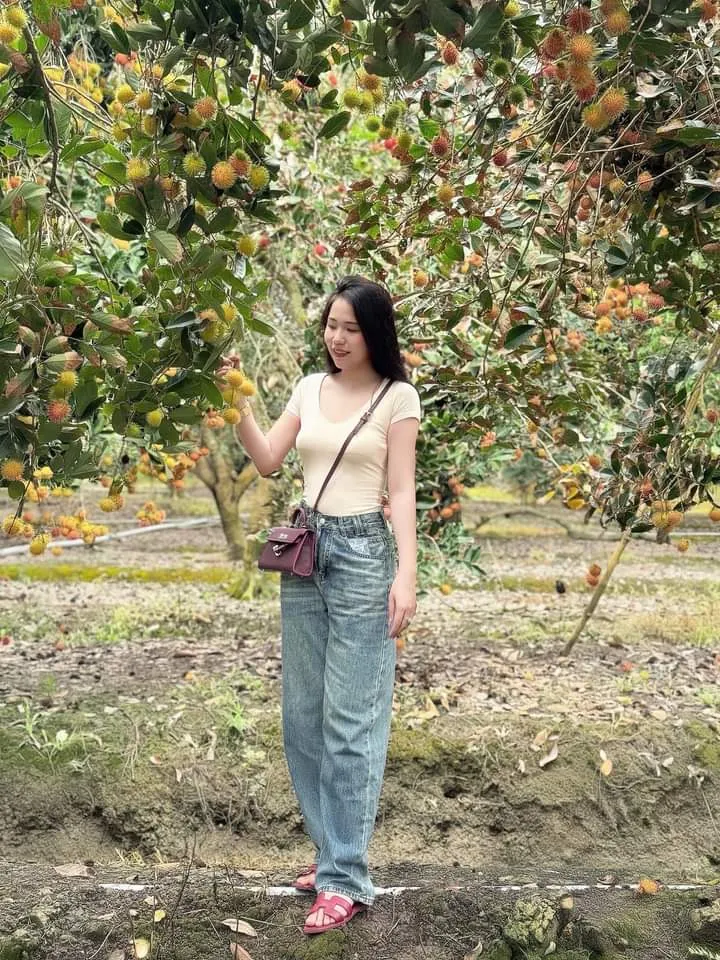 vuon trai cay ben tre 2