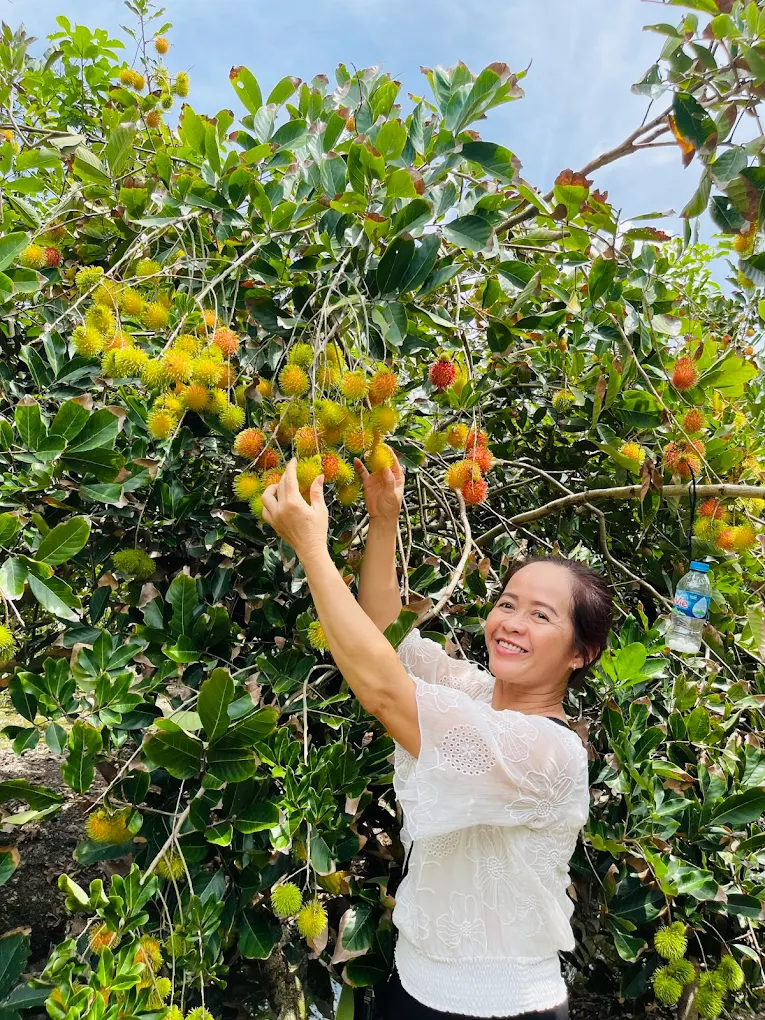 vuon trai cay ben tre 6