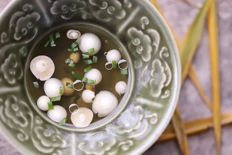 Đôi nét về Lamai Garden