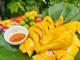 ga-u-muoi-ha-noi 0