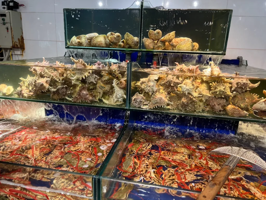 buffet hai san time city 2
