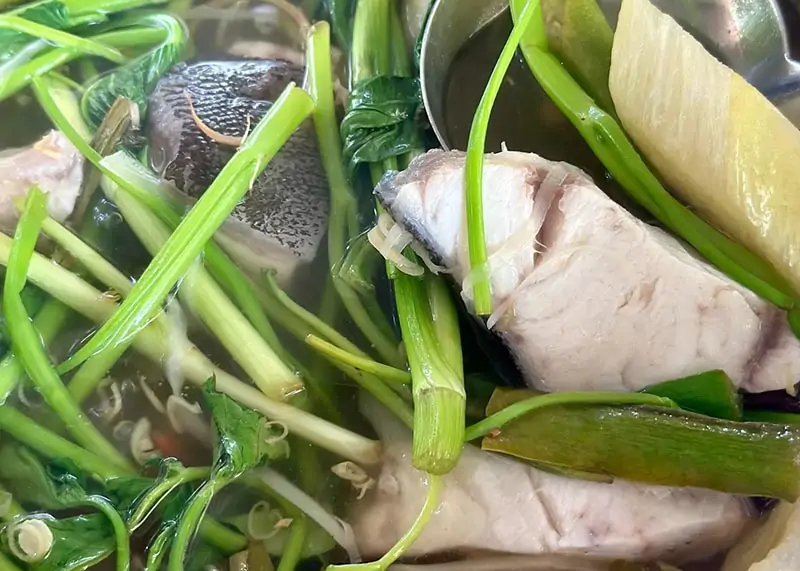 Lẩu Cá Bớp Nấu Ngót