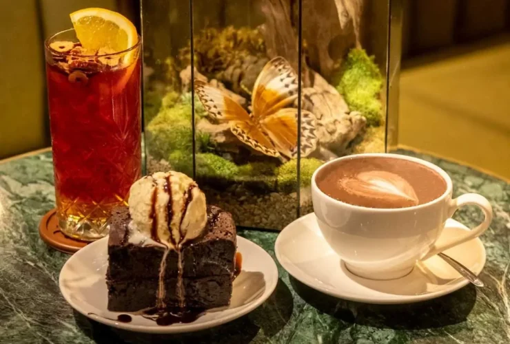 Chenille Café - Cafe Bướm Hải Phòng