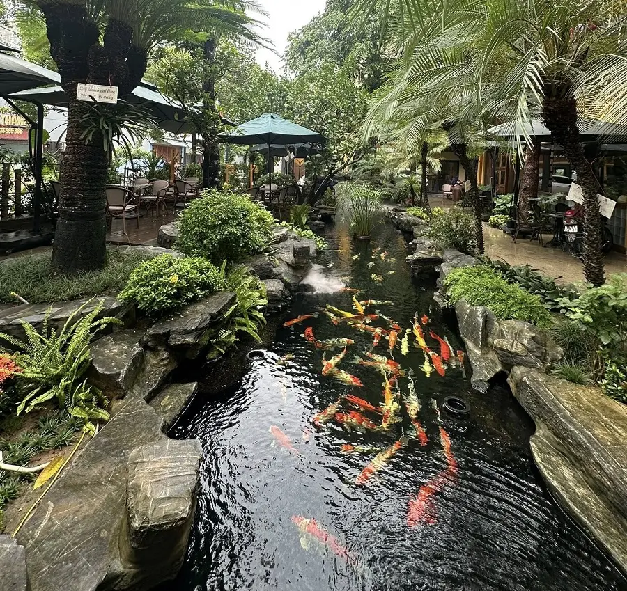 cafe ca koi hai phong 0
