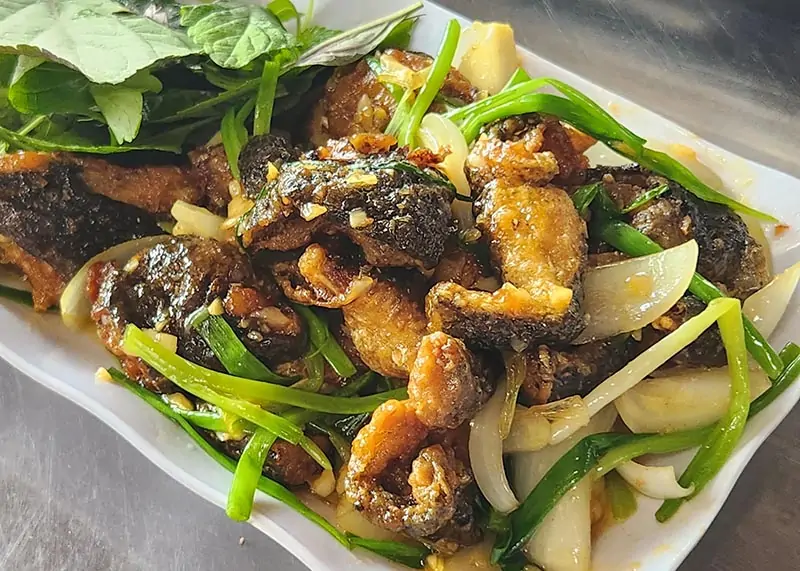Những Biến Tấu Độc Đáo