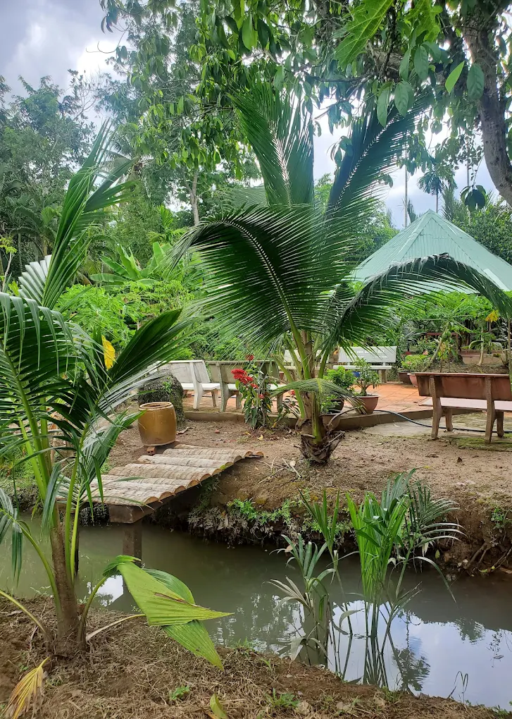 quan an san vuon ben tre 10