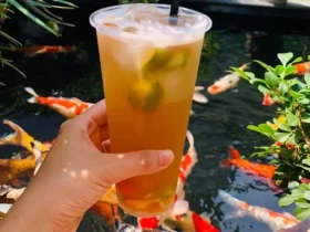 quan cafe gan AEON hai phong 0
