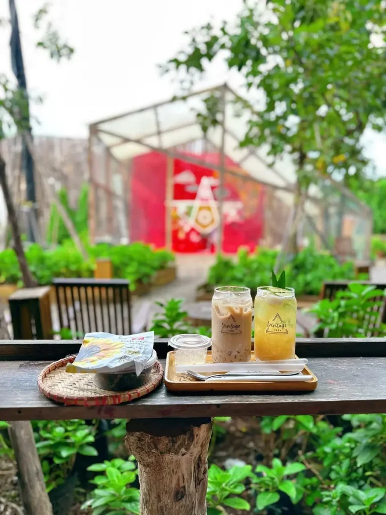 quan cafe san vuon dep o hai phong 5