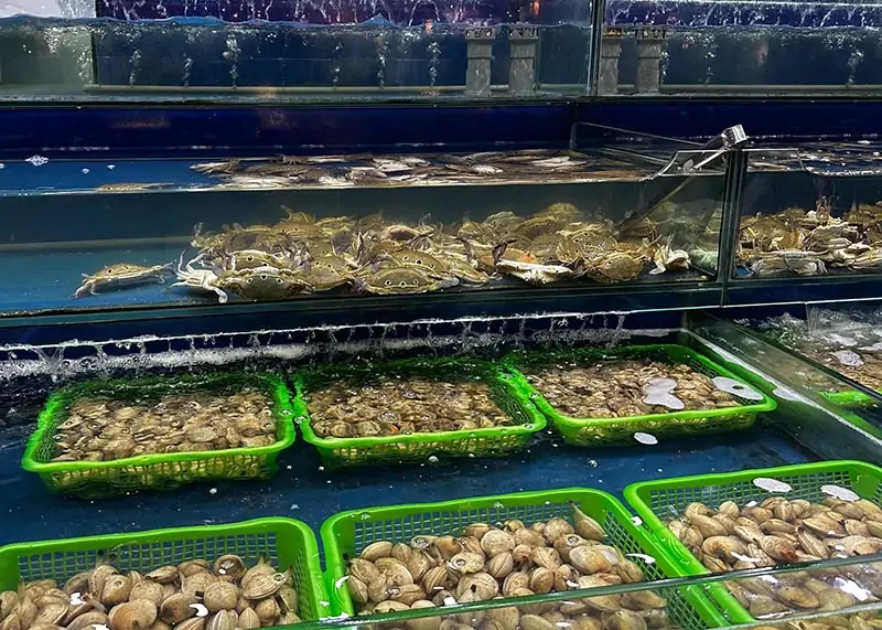 Hải sản tươi sống