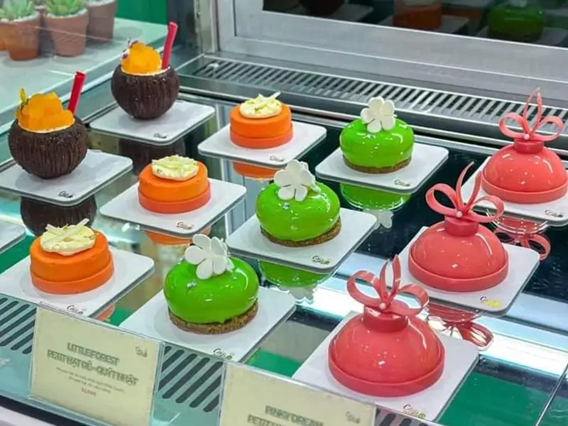 Giới thiệu chung