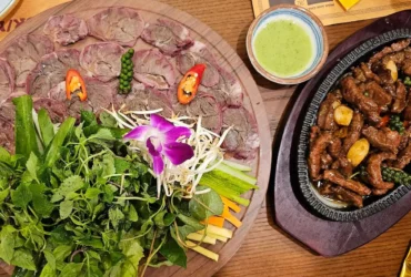 Bò An Khang Vũ Phạm Hàm