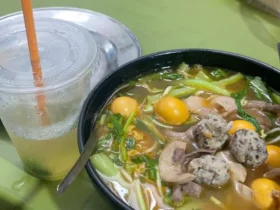 mi tim cat chua cay o ha noi 0