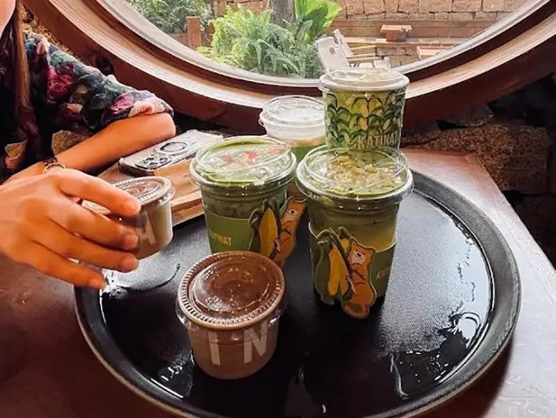 Đôi nét về KATINAT Trung Hòa