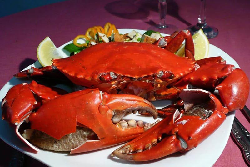 Lẩu Gà Tre Cua Biển Cà Mau